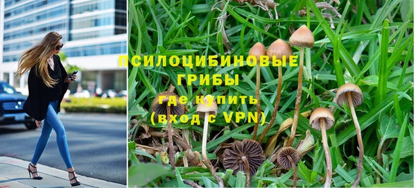 крисы Алексеевка